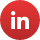 icon-in